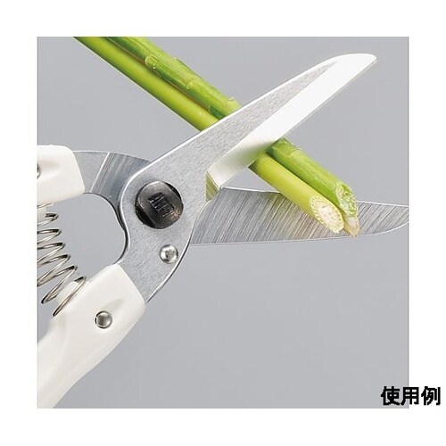 210mm 生花 園芸はさみ EA540