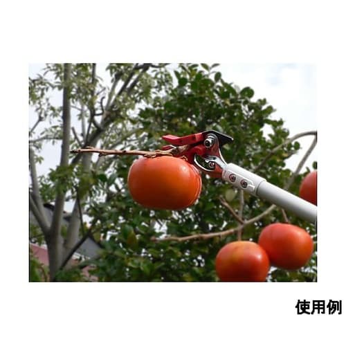 1.7−3.0m 高枝鋏(軽量型・伸縮柄