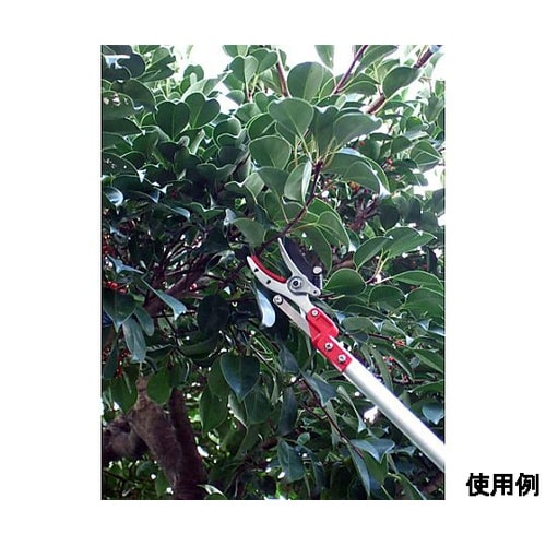1.8−3.0m 高枝鋏(伸縮柄/刃長4