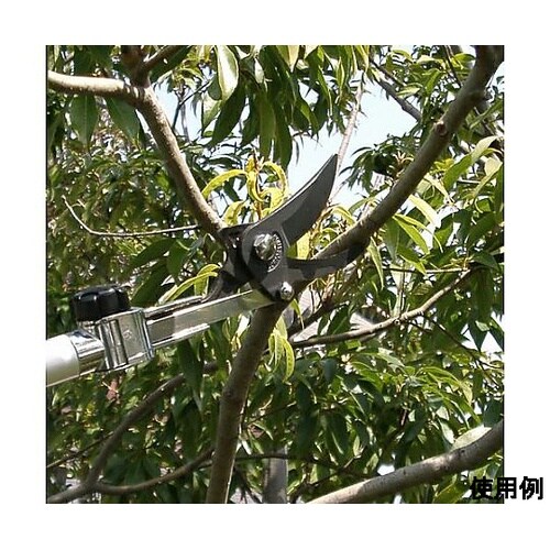 1.3−2.0m 高枝鋏(剪定型・伸縮柄