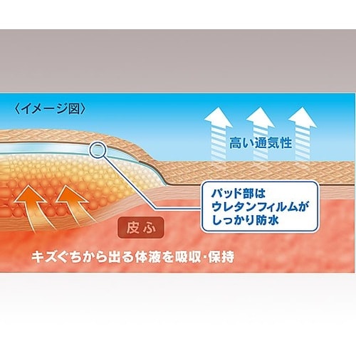 医≫ケアリーヴ 治す力 CN14S