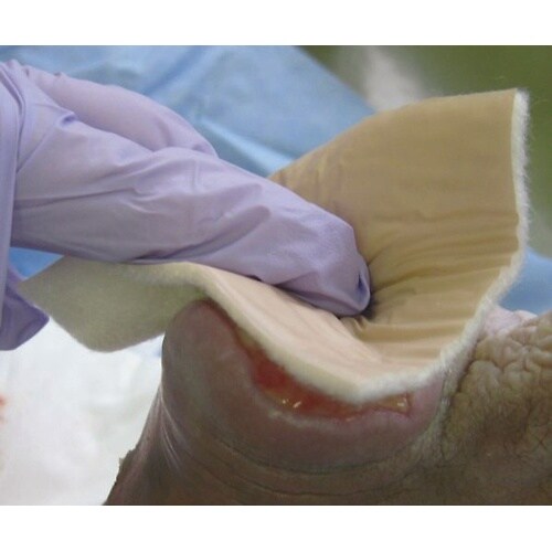 プラスモイストHSP HSA7I