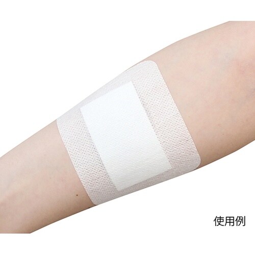 サンフティパッドSNo.6090 50枚