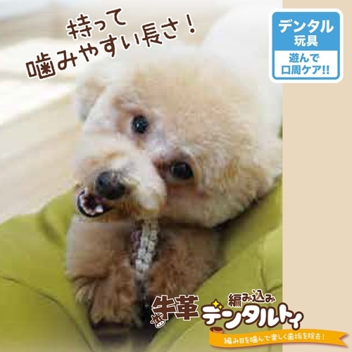 牛革編み込みデンタルトイスティック