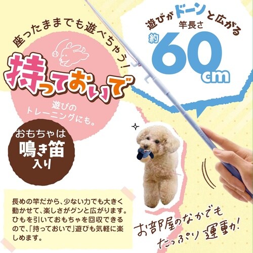 じゃれワンワン!ふわふわペンギ