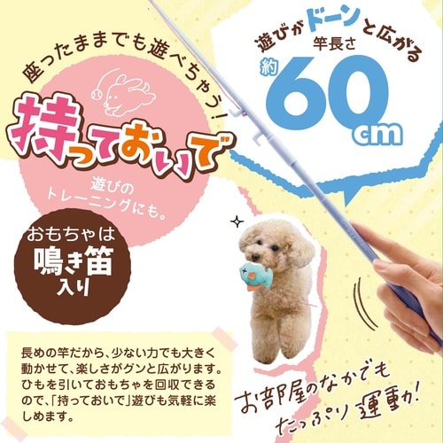 じゃれワンワン!ふわふわサカナ