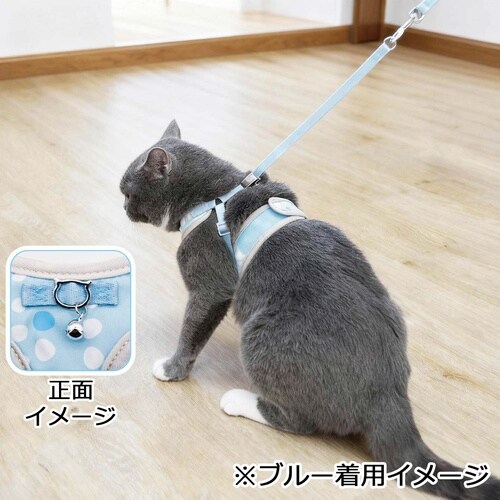 ル・コリエキャットライフHブルーM