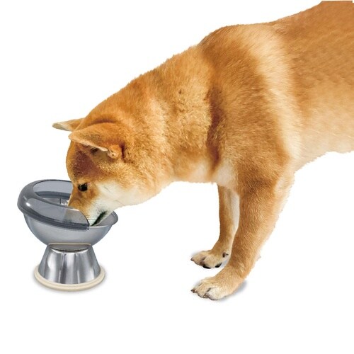 飛び散り防止カバードームテーブル食器犬用S