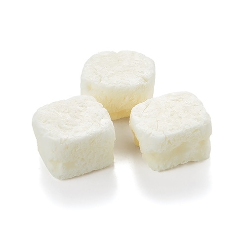 NGF FDヨーグルトプレーン10g