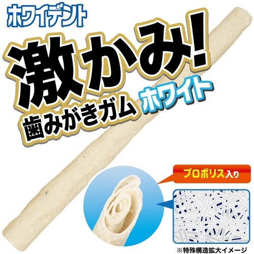 WD激かみガムスティックS48本