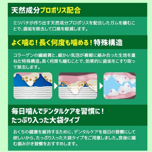 WD激かみガムスティックL20本