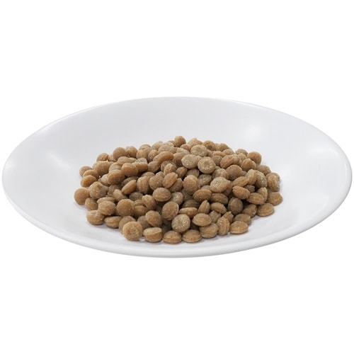 CS素材の旨味鶏肉シニア犬用200g