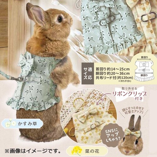 うさちゃんハーネスかすみ草
