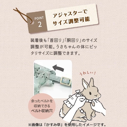 うさちゃんハーネスかすみ草