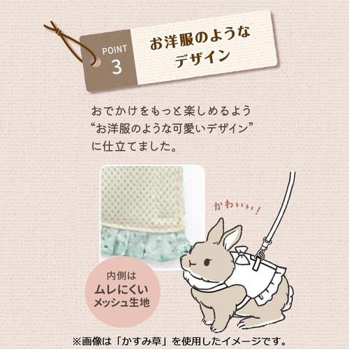 うさちゃんハーネスかすみ草