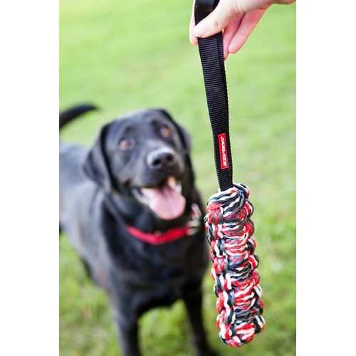 EZビーバーテイルS