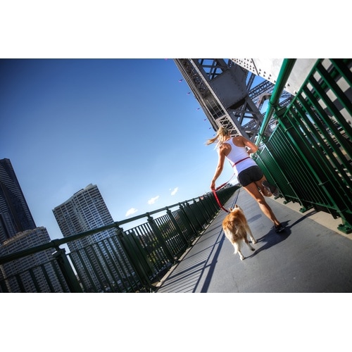 EZロードランナーブラック