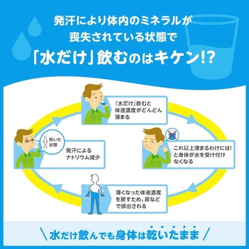 匠の塩タブレット CCEアソート 500g×10