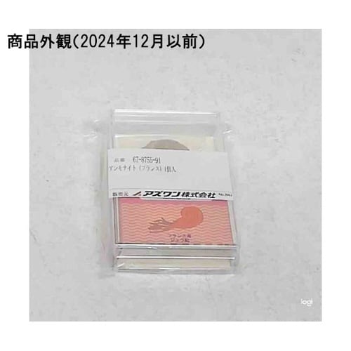 アンモナイト(フランス)1個入