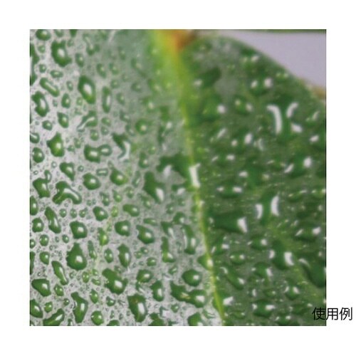 250ml スプレーボトル(連続噴霧)