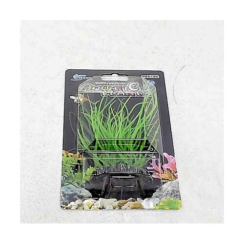 アクアティックプランツ M−4 NAP−
