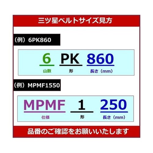 リブスターベルト 3PK975
