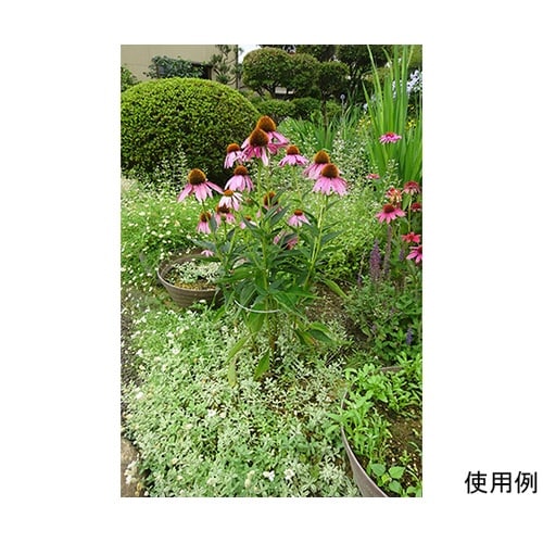 402−1 フラワーガード5ヶセット5個