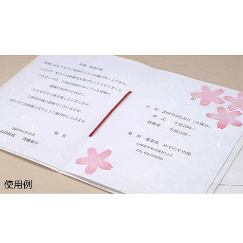 206030401 大礼紙白B5 50枚