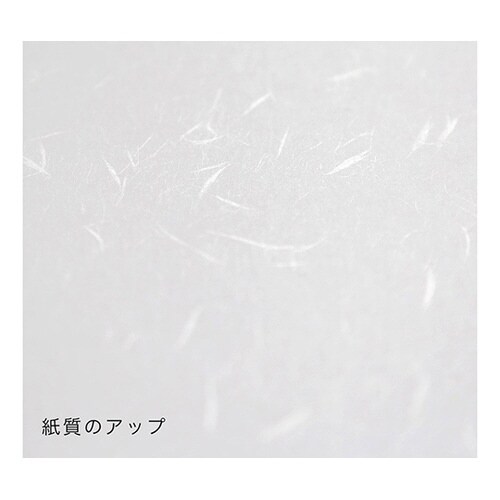 206000005 礼状紙B5 500枚