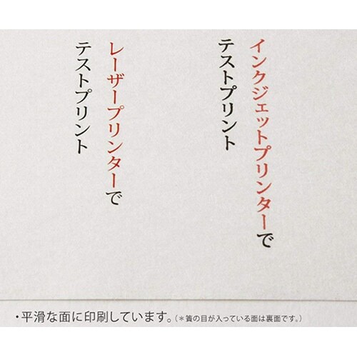簀の目 白 A4 50枚入 206040