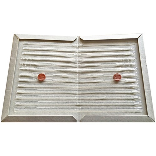 強力ねずみ捕り 10枚入