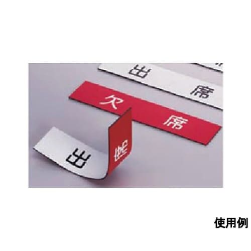 100x300x1.0mm 両面カラーマ
