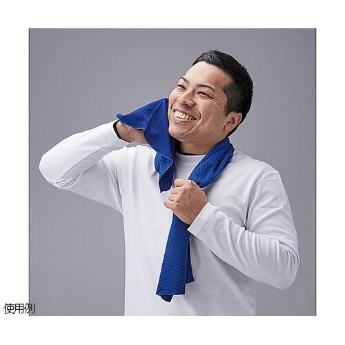 375670 冷感タオル クールタオル