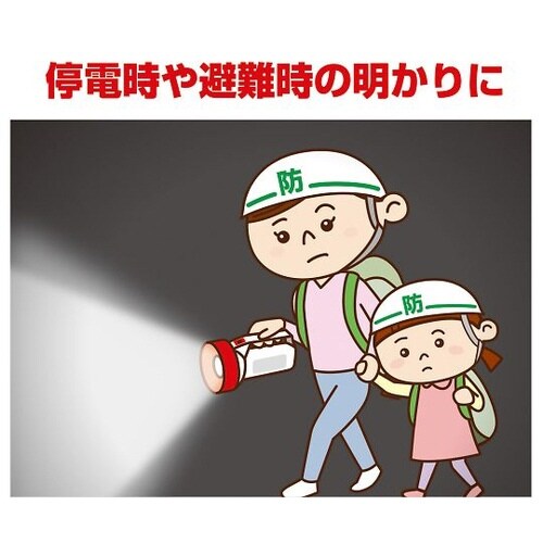 DOP−KR200 LED強力ライト