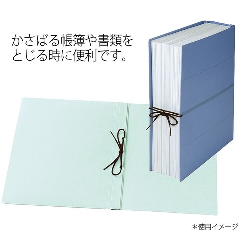 つづりひも セル先 10本入 TF−27