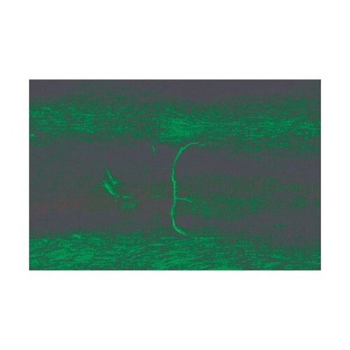 F330E450 ジキチェック