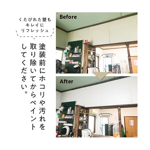 317653021007室内壁用塗料