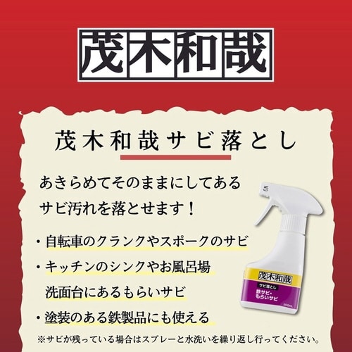茂木和哉 サビ落とし
