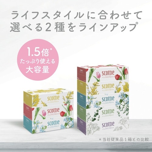 スコッティティシューフラワー250組3箱18パック