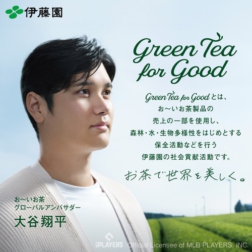 ホット用 おーいお茶ほうじ茶 275ml 24本