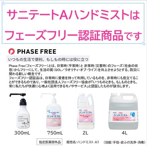 サニテートAハンドミスト モダン 300mL×4