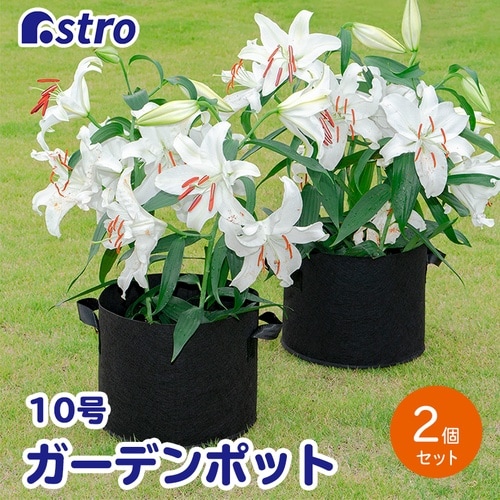 フェルトガーデンポット10号 2枚組