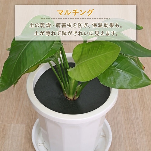 園芸用防草シート 1×1m