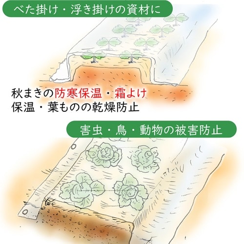 家庭菜園・園芸用 不織布シート1.6*5