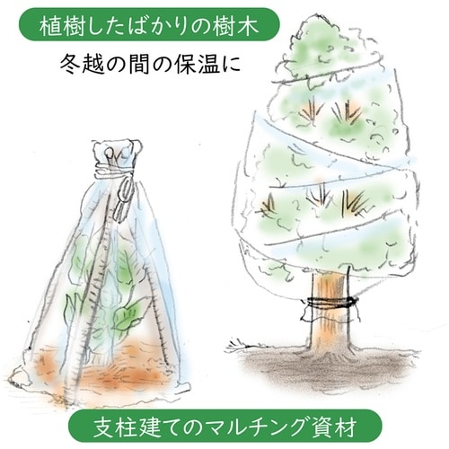 家庭菜園・園芸用 不織布シート1.6*5