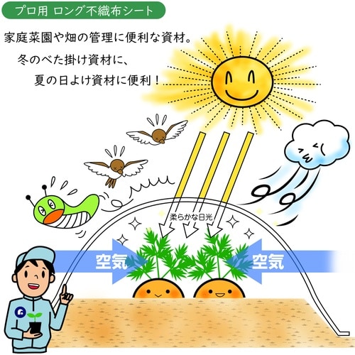 家庭菜園・園芸用 不織布シート1.6*10