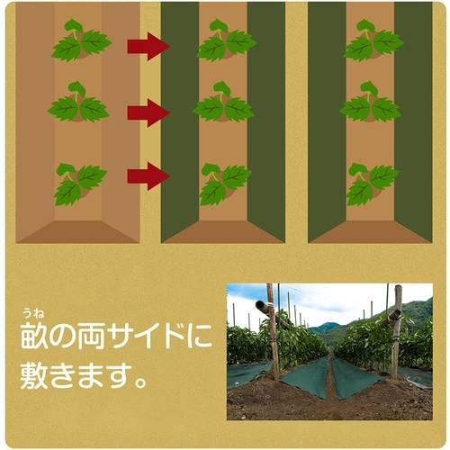 園芸用防草シート50cm幅 リバーシブル