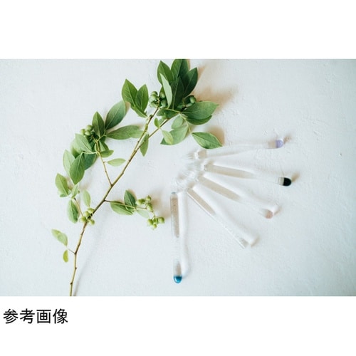 毎日使いたいガラスペン BRIDE ガー
