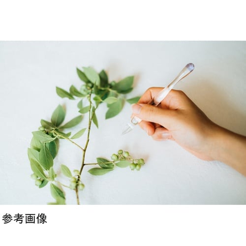 毎日使いたいガラスペン BRIDE ライ