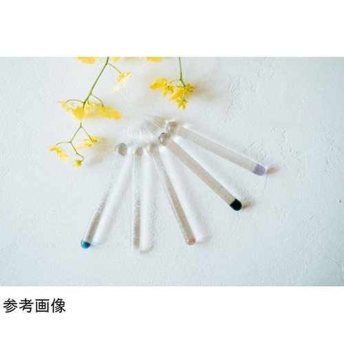 毎日使いたいガラスペン GROOM アイ